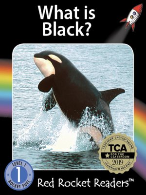 cover image of What is Black?